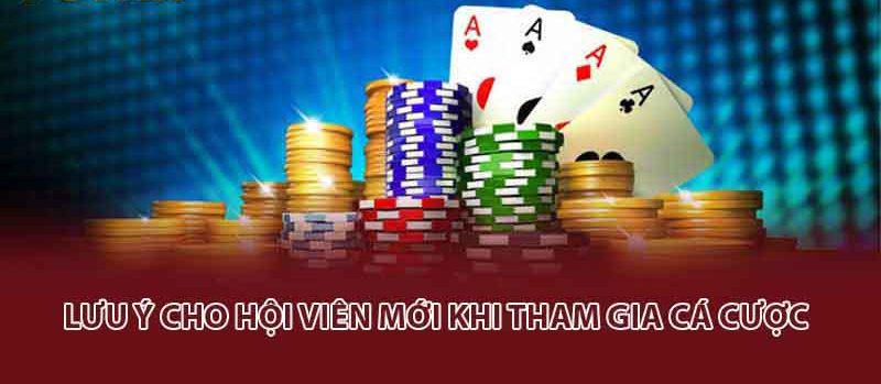 Lưu ý cho hội viên mới khi tham gia cá cược
